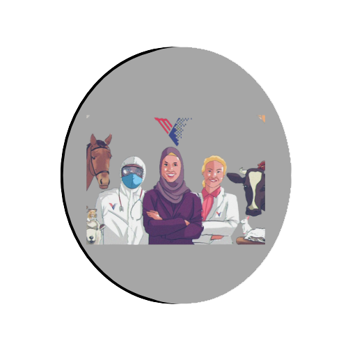 MyVetlab